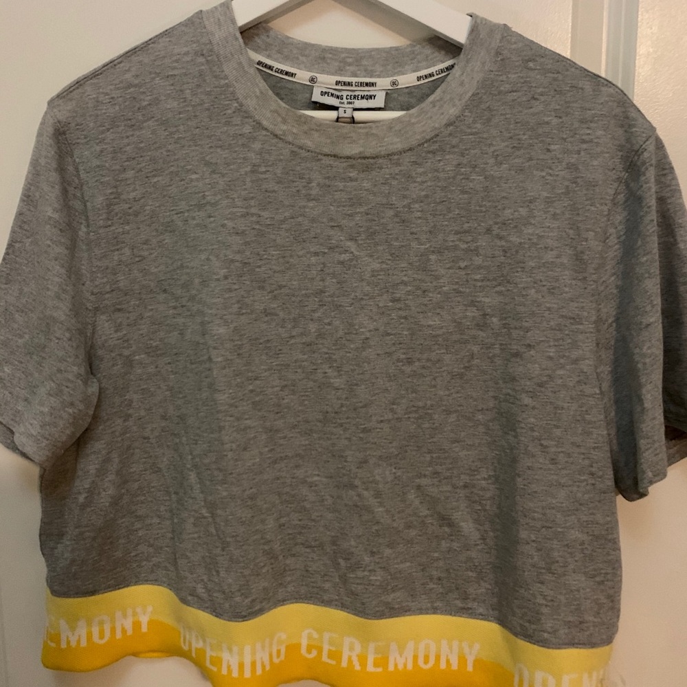 Opening Ceremony crop top